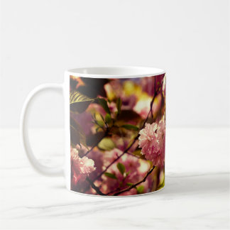 Cherry Blossoms Tasse