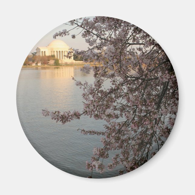 Cherry Blossoms Washington DC Magnet (Vorne)
