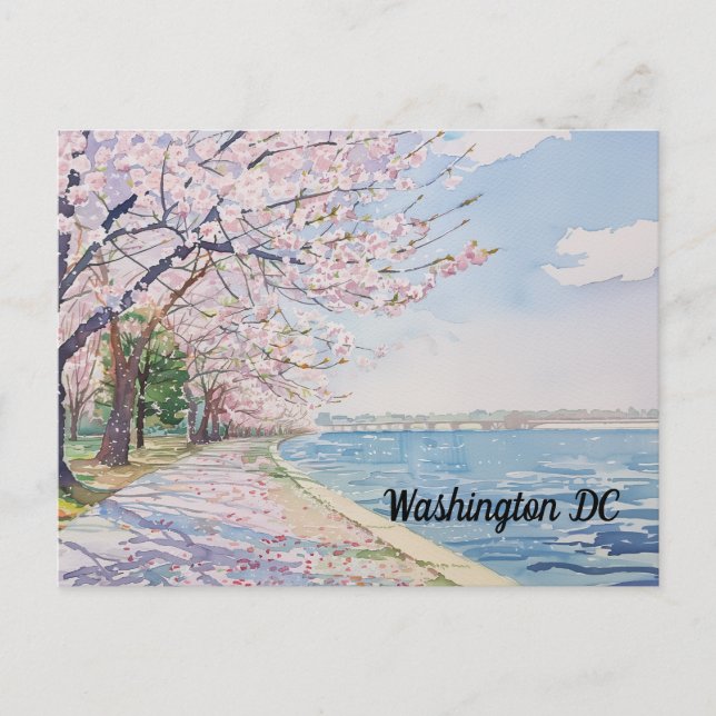 Cherry blüht Washington DC Gezeitenbecken Postkarte (Vorderseite)