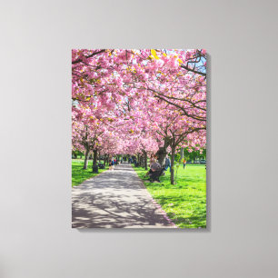 Cherry Blütenbild Leinwand