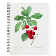 Cherry Botanical Print