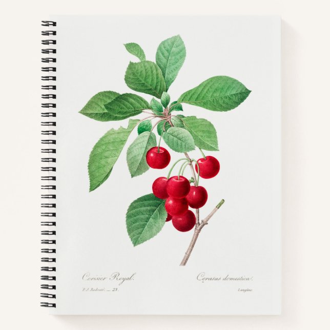 Cherry Botanical Print Notizbuch (Vorderseite)