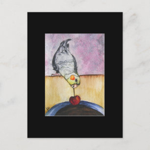 Cherry Dip (cockatiel) ACEO Art Trading Card Postkarte