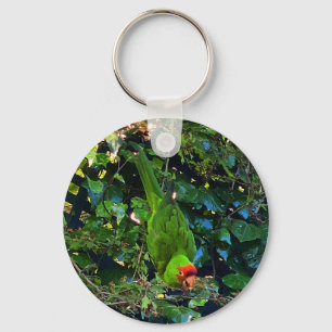 Cherry Headed Conure #1 Schlüsselanhänger