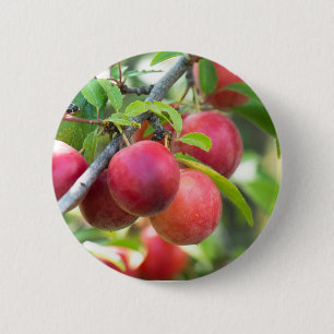 Cherry plum button