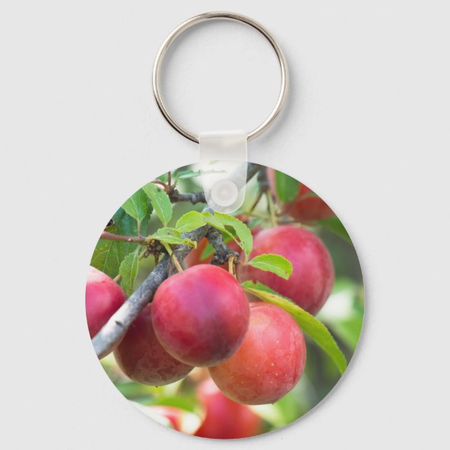 Cherry plum schlüsselanhänger (Vorderseite)