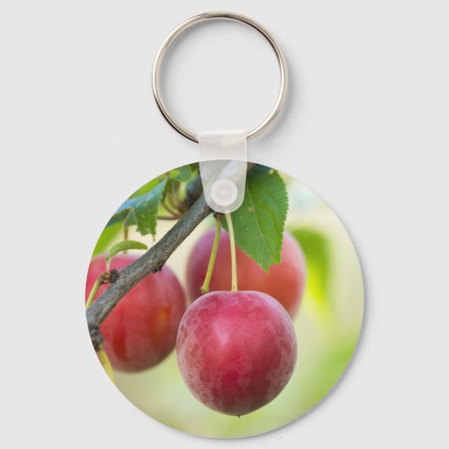 Cherry plum schlüsselanhänger (Vorderseite)
