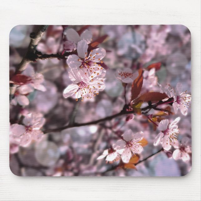 Cherry Plum Tree Pink Mousepad (Vorne)