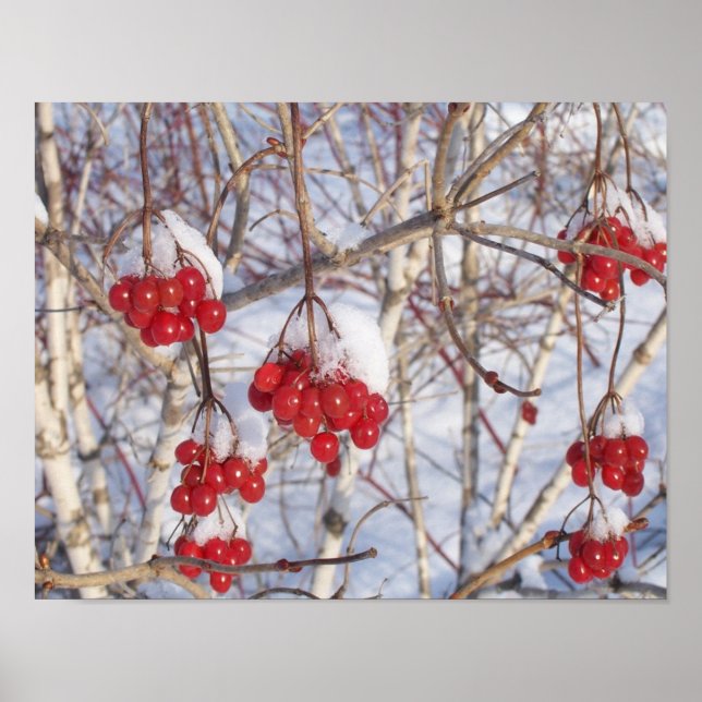 Cherry Snow Cones Poster (Vorne)