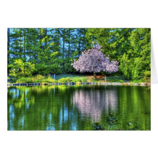 Cherry Tree