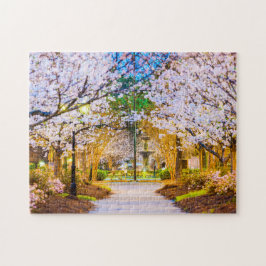 Cherry Tree 