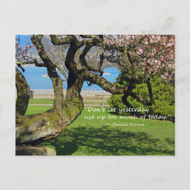 Cherry Tree Cherokee Proverb Postcard Postkarte (Vorderseite)