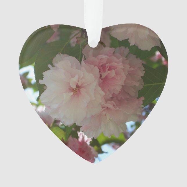 Cherry Tree I Spring Floral (devant)