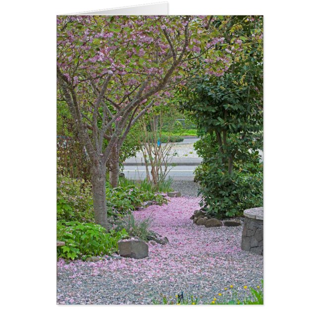 Cherry Tree Petal Path (Vorne)