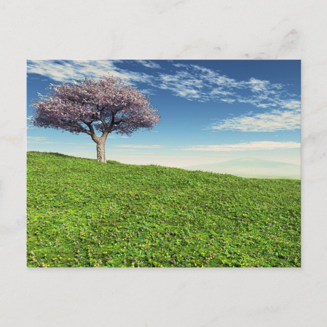 Cherry Tree Postkarte (Vorderseite)