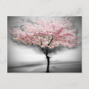 CherryTree Postkarte
