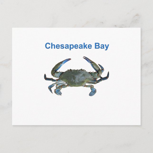Chesapeake Bay Blue Crab Postkarte (Vorderseite)