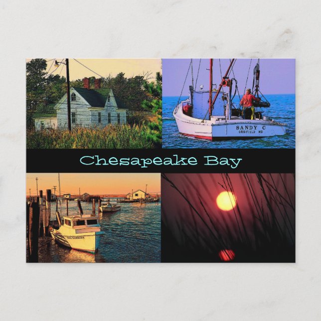 Chesapeake Bay-Postkarte Postkarte (Vorderseite)