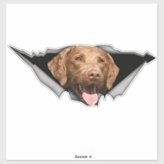 Chesapeake Bay Retriever decal, Dog Sticker