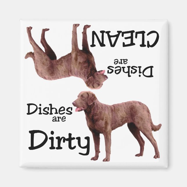 Chesapeake Bay Retriever Geschirrspülmaschine Magn Magnet (Vorne)
