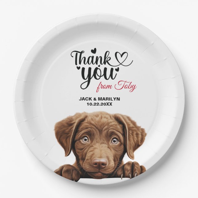 Chesapeake Bay Retriever Hochzeitsempfang Pappteller (Vorderseite)