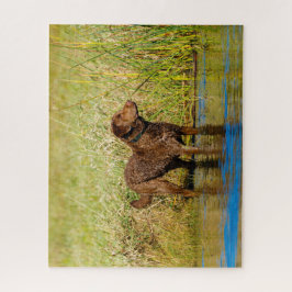 Chesapeake Bay Retriever Jagd Hund Jigsaw Puzzle