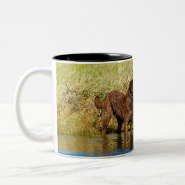 Chesapeake Bay Retriever Jagd Hund Kaffee Tasse
