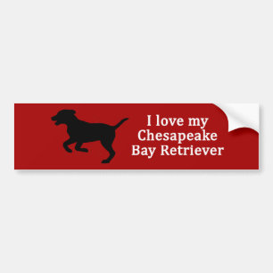 Chesapeake Bay Retriever Liebe Autoaufkleber