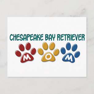 CHESAPEAKE BAY RETRIEVER Mama Pfosten Print 1 Postkarte