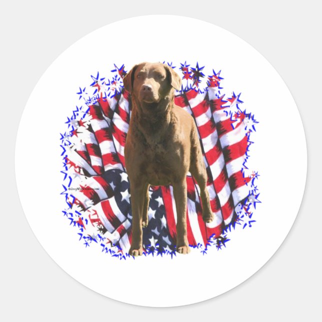 Chesapeake Bay Retriever Patriot Runder Aufkleber (Vorderseite)