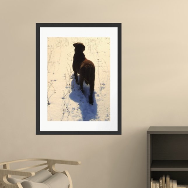 Chesapeake Bay Retriever Poster (Von Creator hochgeladen)