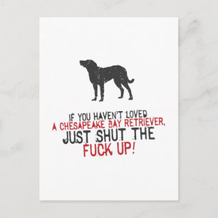 Chesapeake Bay Retriever Postkarte