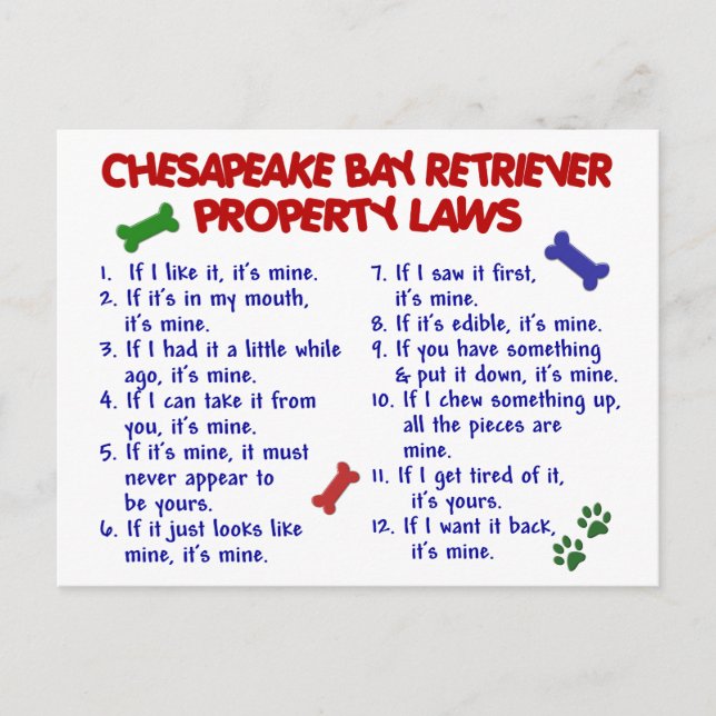 CHESAPEAKE BAY RETRIEVER Property Law 2 Postkarte (Vorderseite)