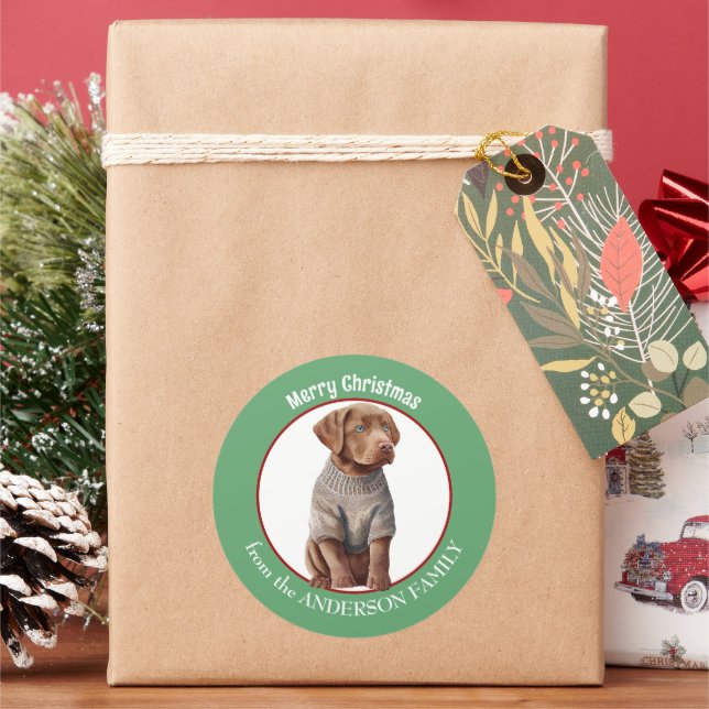Chesapeake Bay Retriever Pup im Winter Sweater Runder Aufkleber (Feiertag)
