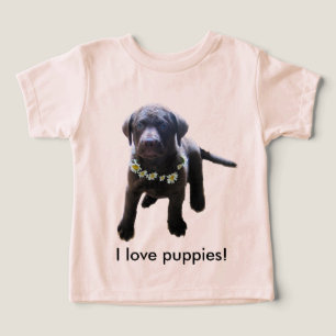 Chesapeake Bay Retriever Puppy