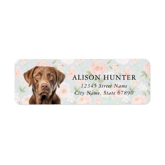 Chesapeake Bay Retriever Rücksendeadressen-Aufkleb (Vorne)