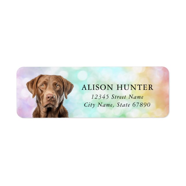 Chesapeake Bay Retriever Rücksendeadressen-Aufkleb (Vorne)