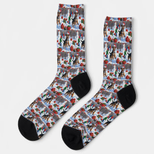 Chesapeake Bay Retriever Schnee mit Weihnachtsmütz Socken