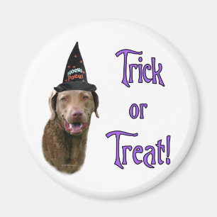 Chesapeake Bay Retriever Trick Magnet