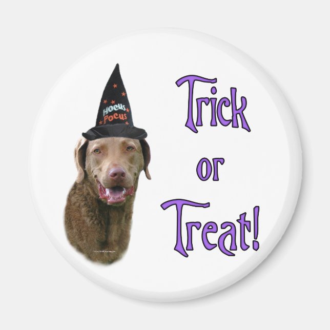 Chesapeake Bay Retriever Trick Magnet (Vorne)