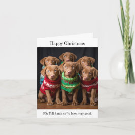 Chesapeake Bay Retriever Welpen Weihnachtskarte Karte