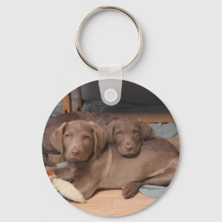 Chesapeake Bay Retrievers Schlüsselanhänger