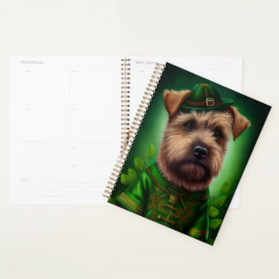 Chesapeake Bay Terrier en tenue de jour St. Patric