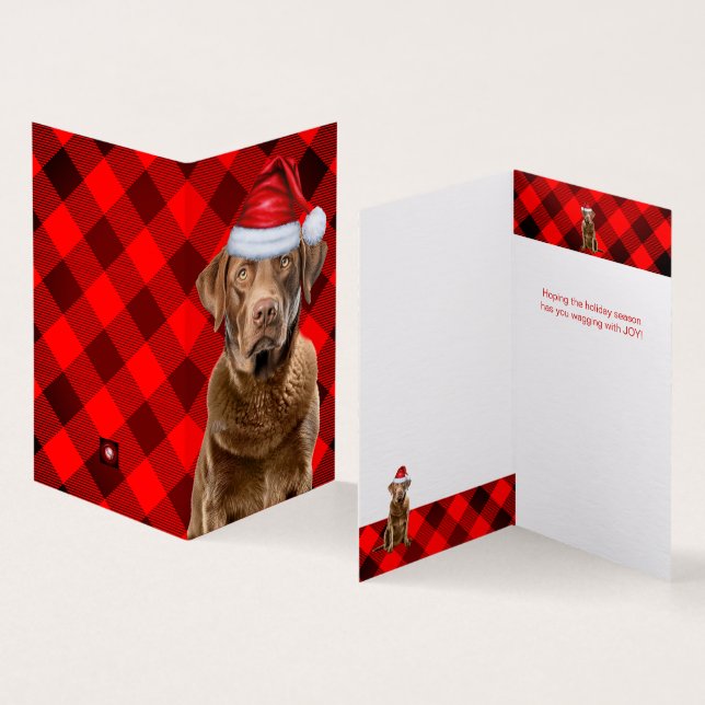 Chesapeake Retriever Karierter Weihnachtsfeiertag (Innenseite und Außenseite)