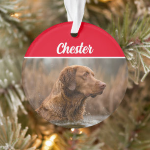 Chesapeake Retriever mit Name und Foto Weihnachten Ornament