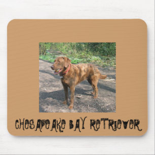 Chesapeakebay Retriever Mousepad