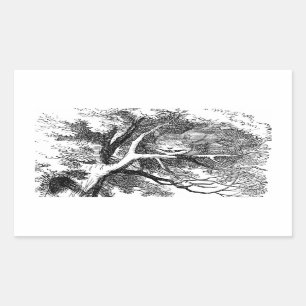 Cheshire Cat Versteckt in einem Baum Rechteckiger Aufkleber