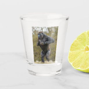 Chest Beating Gorilla Schnapsglas