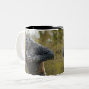 Chest Beating Gorilla Zweifarbige Tasse
