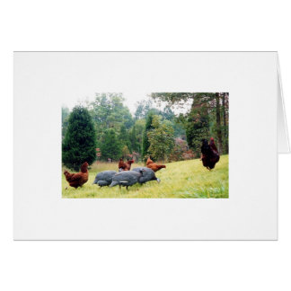 Chester u. seine Armee auf Patrouille